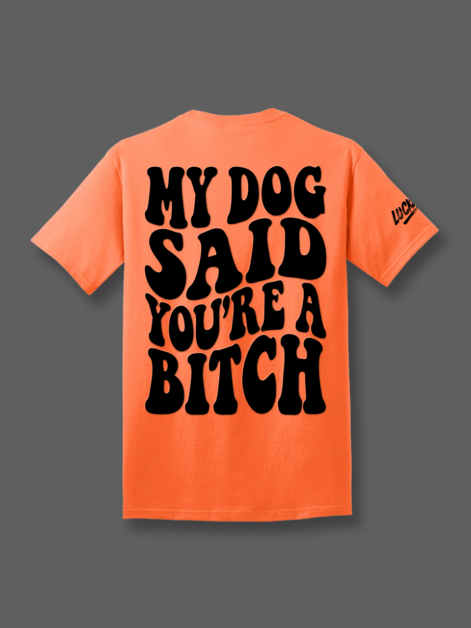Luckless Outfitters My Dog Said You're A Bitch Tee — alternative angle