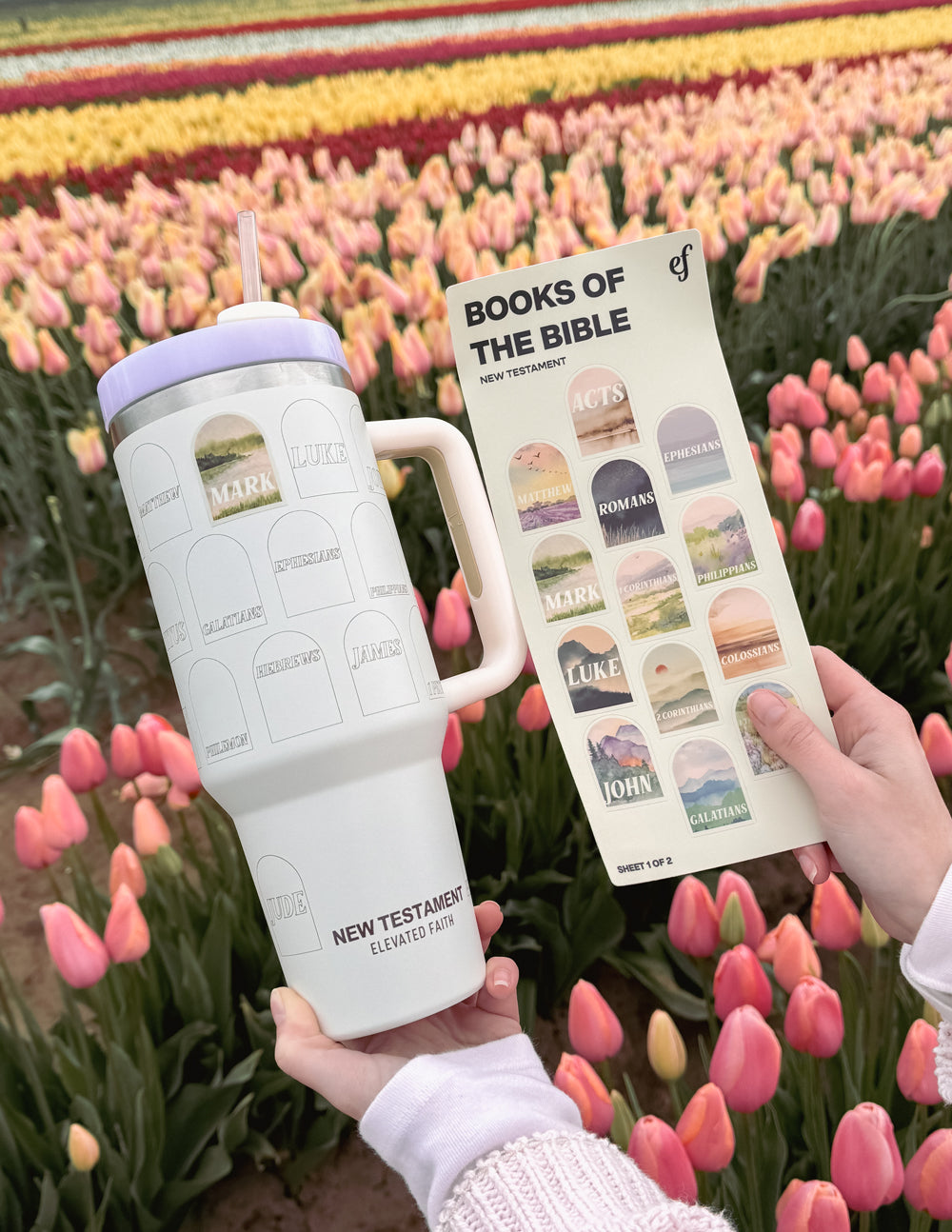 Elevated Faith NT Bible Checklist 40 oz Tumbler — lifestyle context