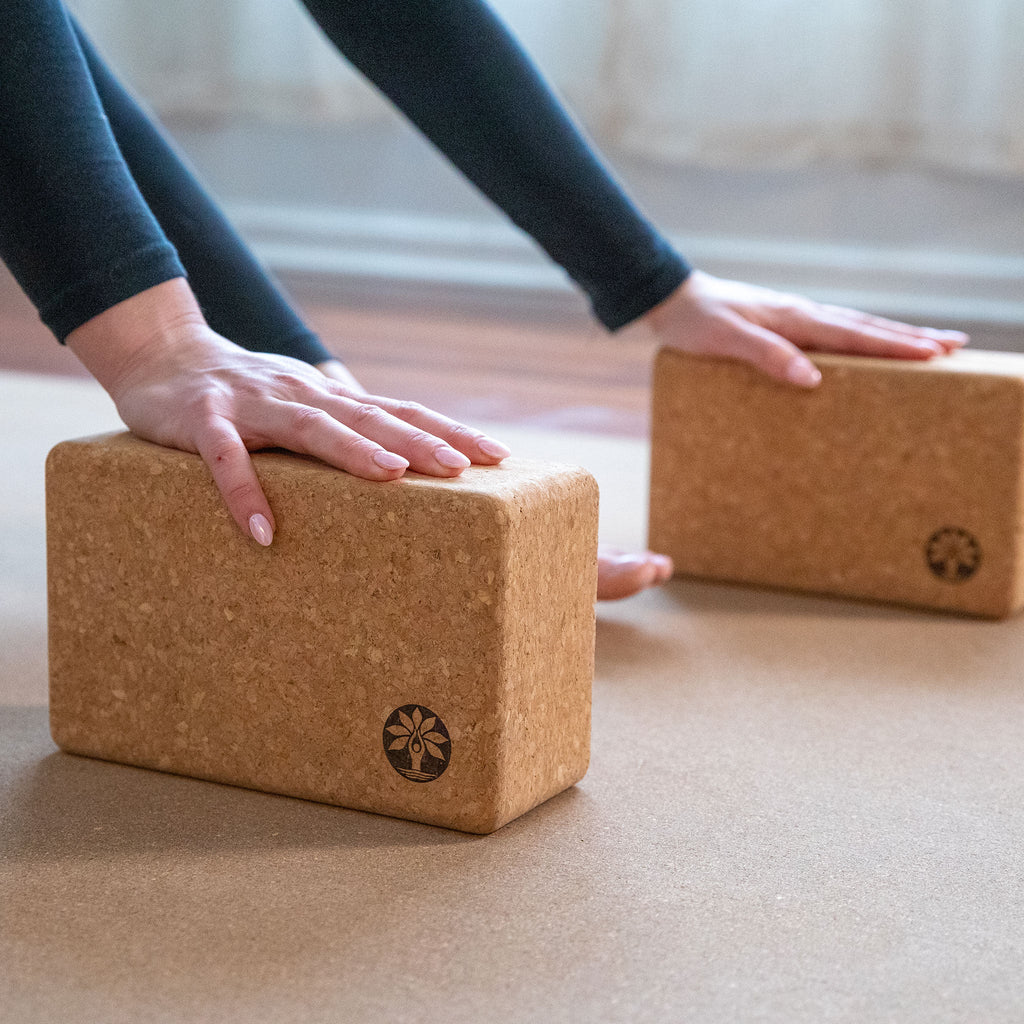 Cork Yoga Block Set – Yoloha Yoga, view 5