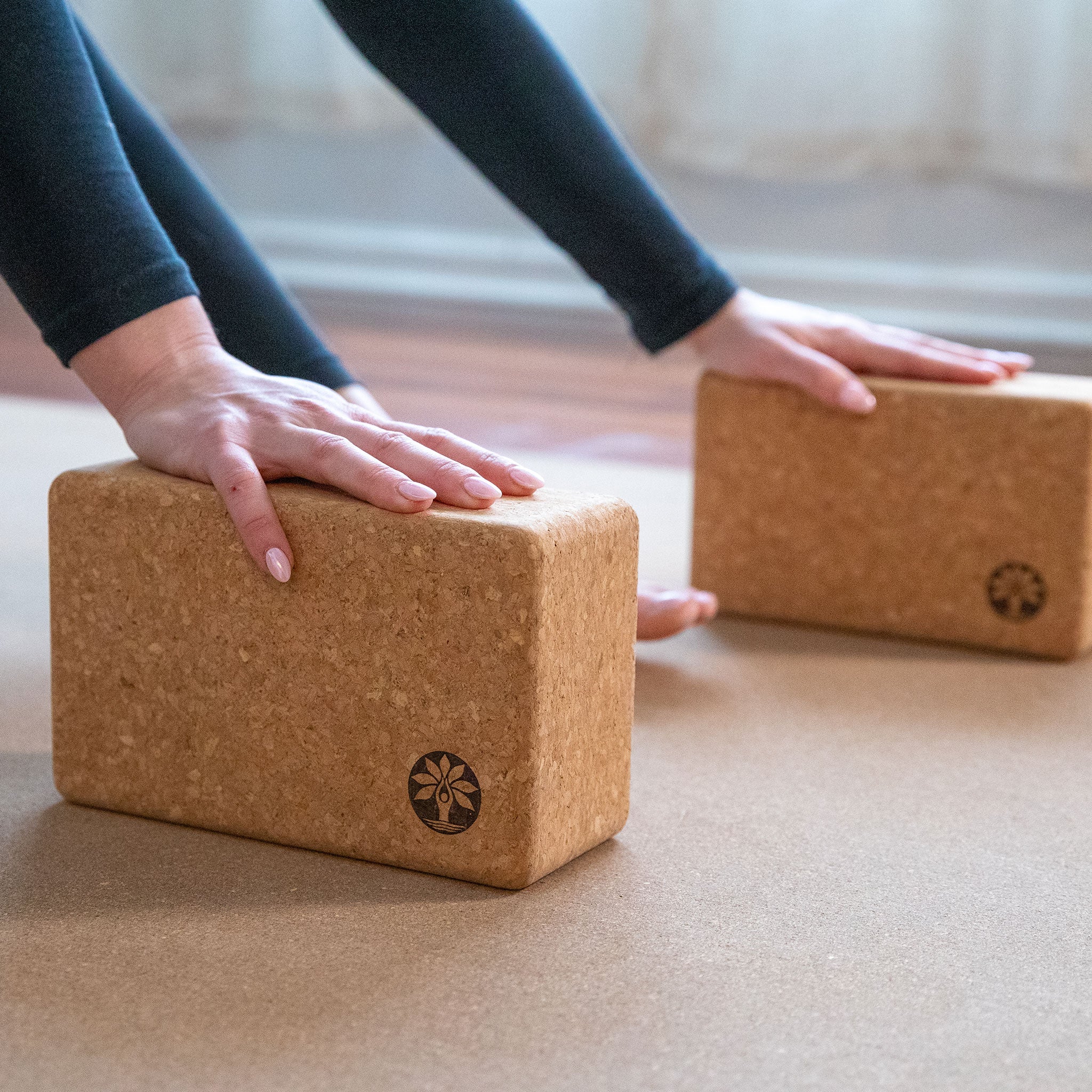 Cork Yoga Block Set – Yoloha Yoga, view 5