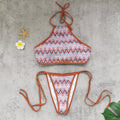 Bella Mia Halter Strap Sexy Backless Low Waist Tube Top Bikini Striped Printed Split Swimsuit Bikini — detail and construction