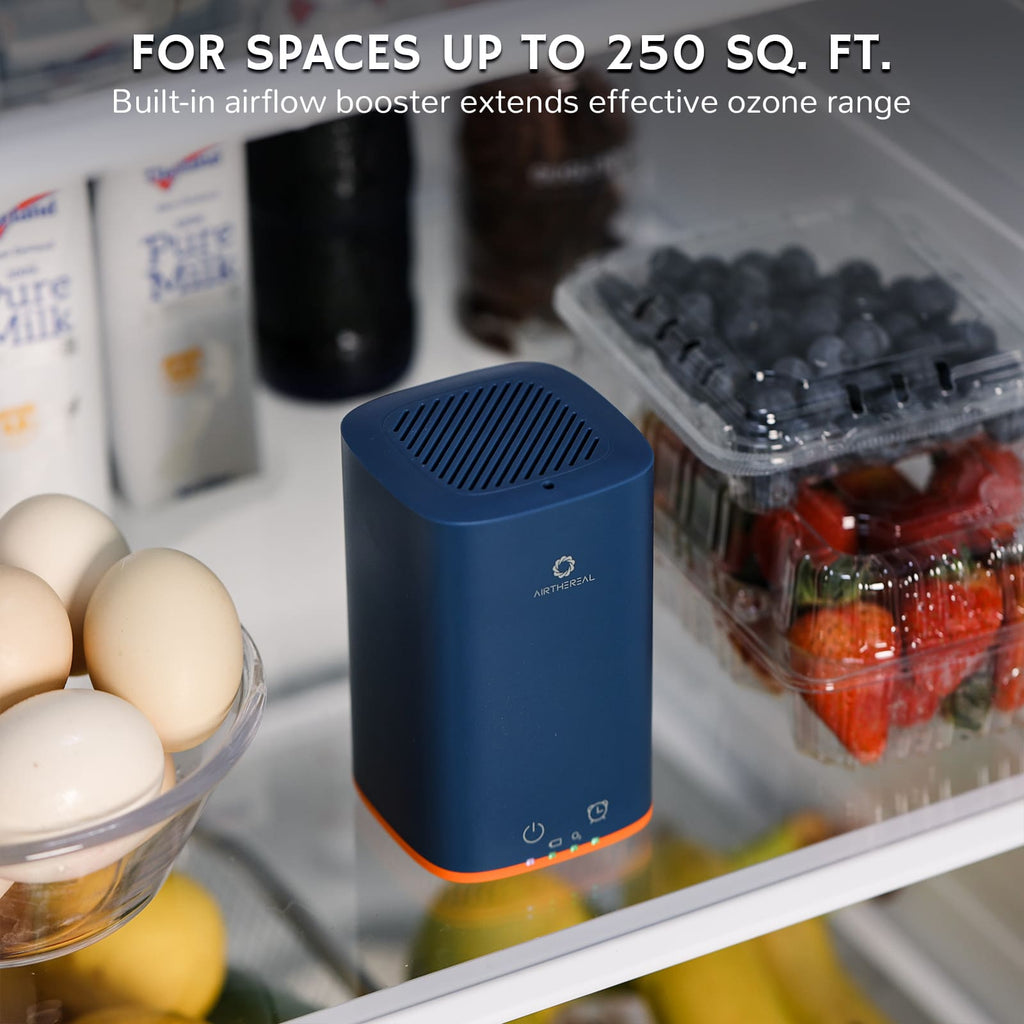 PA300-GO Portable Ozone Generator – Airthereal, view 6