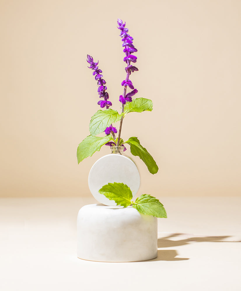 PATCHOULI ESSENTIAL OIL – makesy®