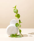 PEPPERMINT ESSENTIAL OIL – makesy®