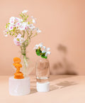 primrose & apricot™ fragrance oil – makesy®