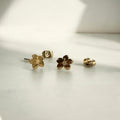 Hibiscus Flower Studs – Plant Dosage LLC