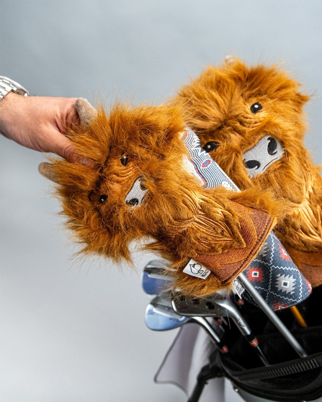 Pins and Aces Highland Cow - Hybrid Cover — in-use photo