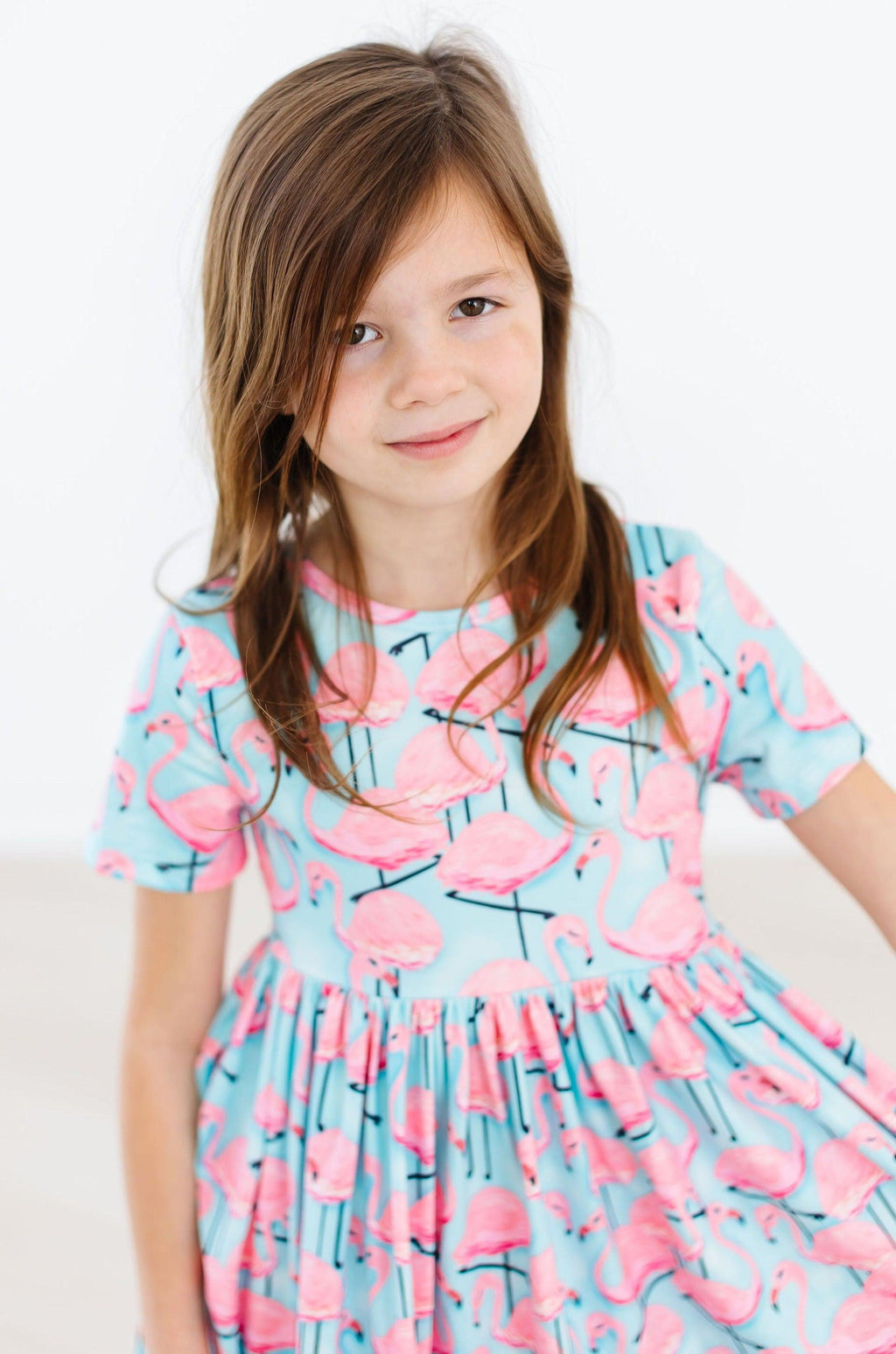 Mila & Rose ® Pretty in Pink Flamingos S/S Pocket Twirl Dress — back view