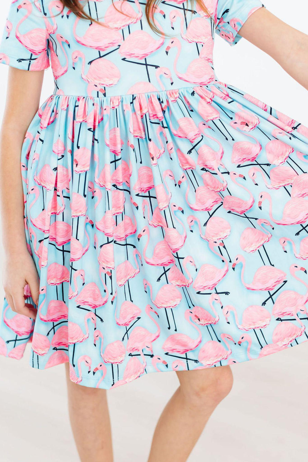 Mila & Rose ® Pretty in Pink Flamingos S/S Pocket Twirl Dress — in-use photo