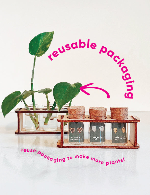 Custom Etched Propagation Stand + 3 Set Tiny Houseplant Earring Studs – Plant Dosage LLC, view 4