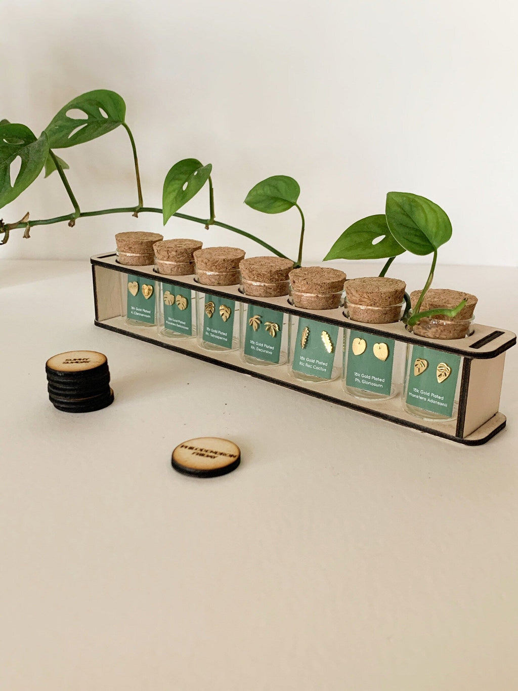 Custom Etched Propagation Stand + 3 Set Tiny Houseplant Earring Studs – Plant Dosage LLC, view 12