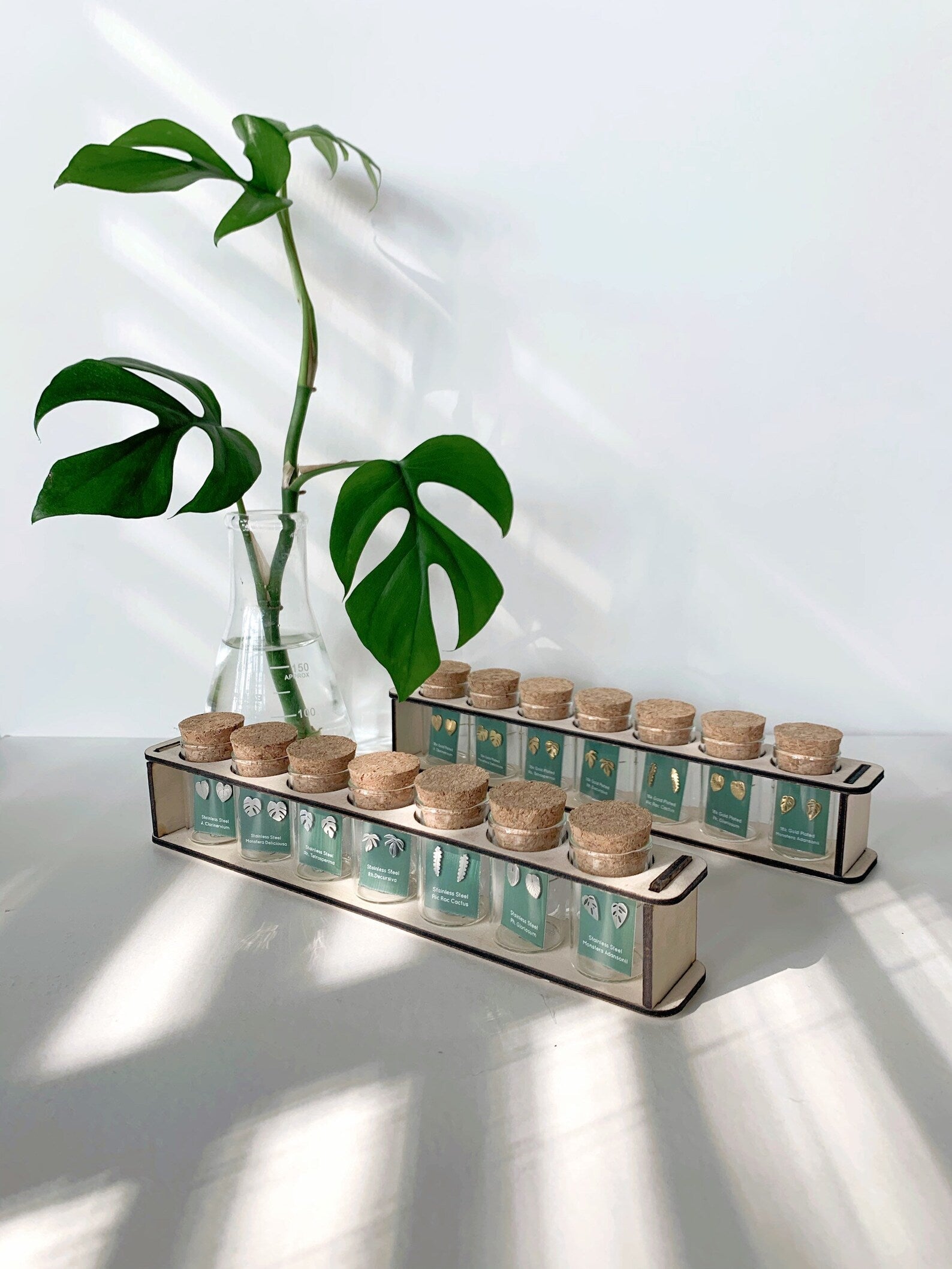 Custom Etched Propagation Stand + 3 Set Tiny Houseplant Earring Studs – Plant Dosage LLC, view 14