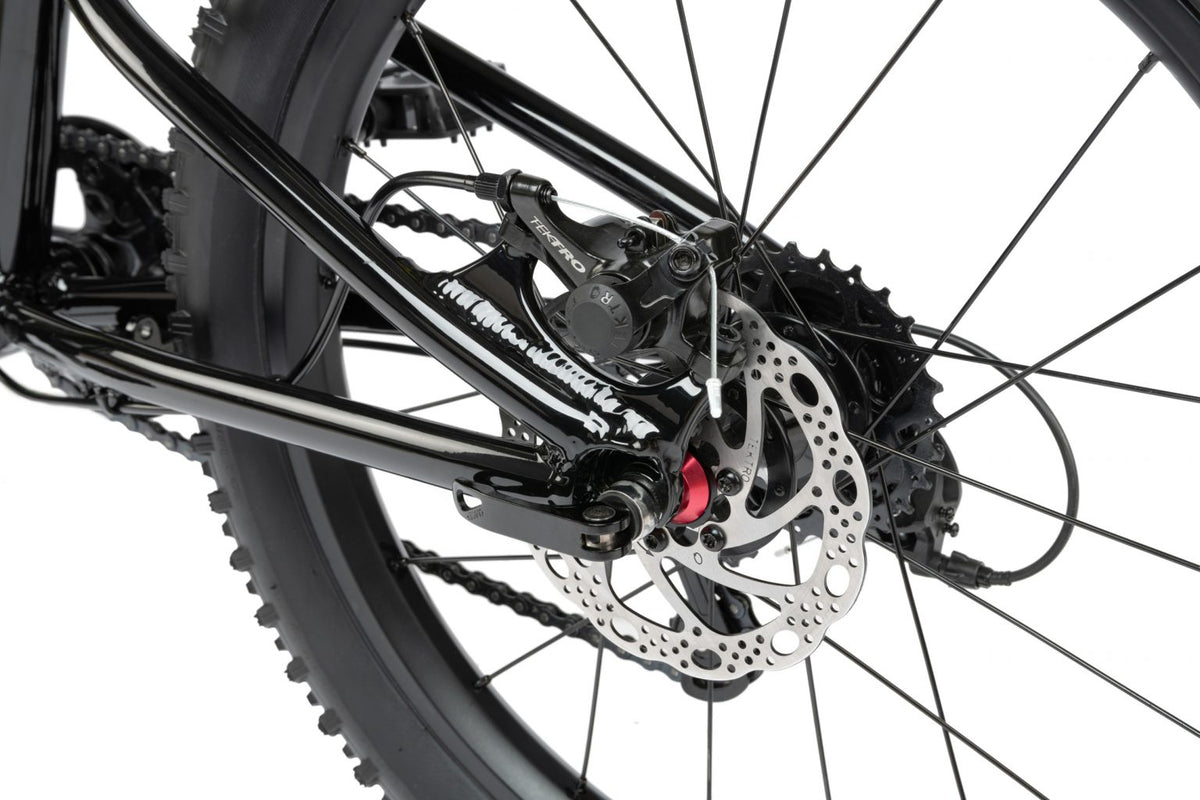 Radio 2021 Zuma 20″ Complete Mountain Bike - Black