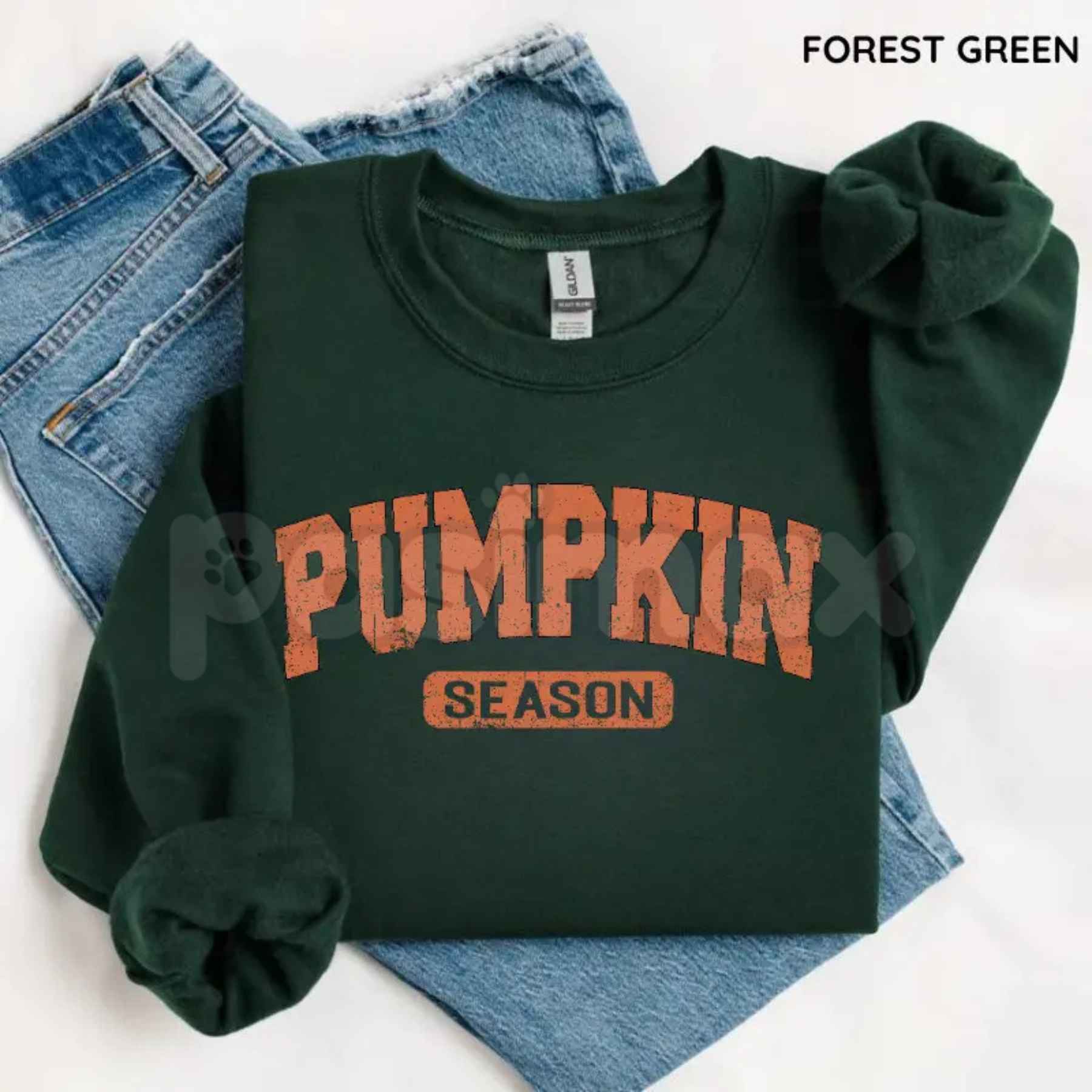 Retro Pumpkin Season Sweatshirt | Cute Fall Autumn Pullover