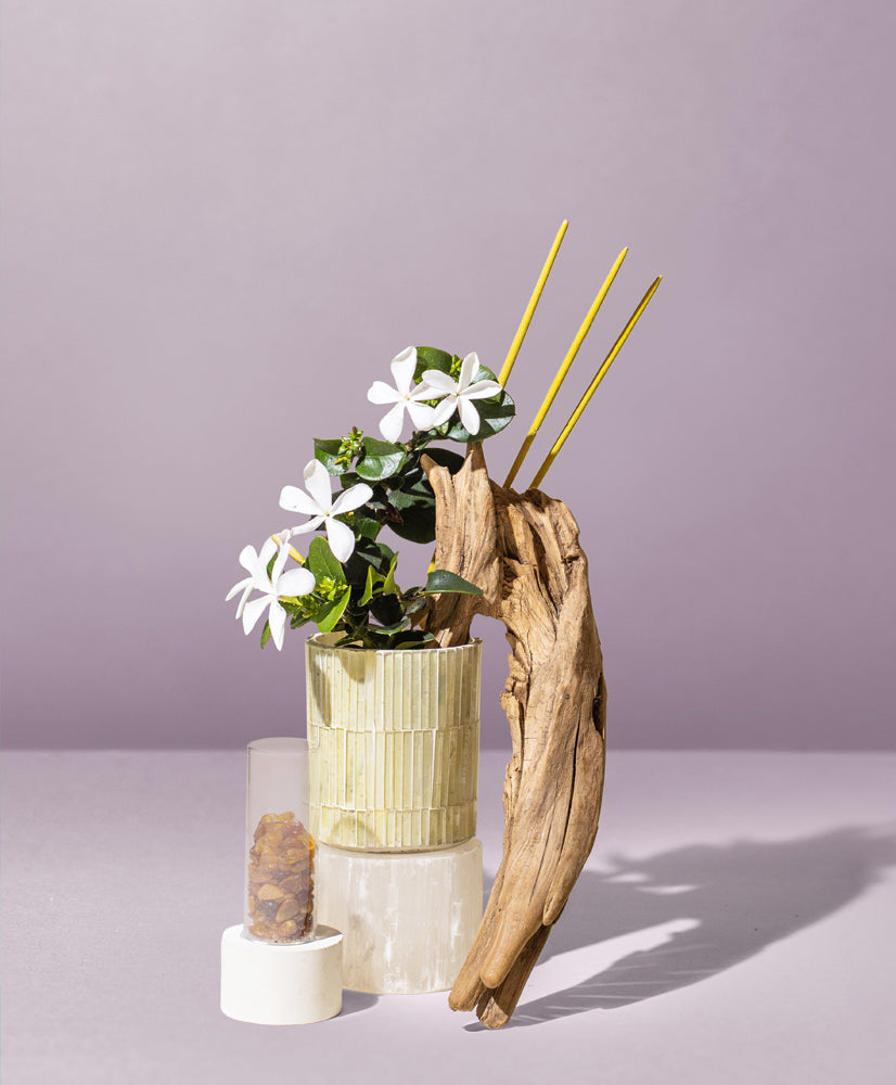sandalwood incense & exotic amber™ fragrance oil – makesy®