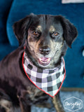 Grace+Emma Gingham Me to Sleep Pet Bandana — main product shot