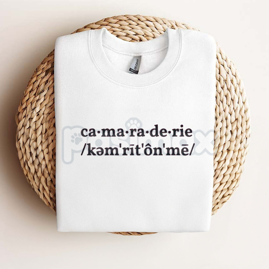 Pasimax Sabrina Carpenter Camaraderie Embroidered Shirt – Unisex, Relaxed Fit Tee for Concert & Fan Apparel — main product sh