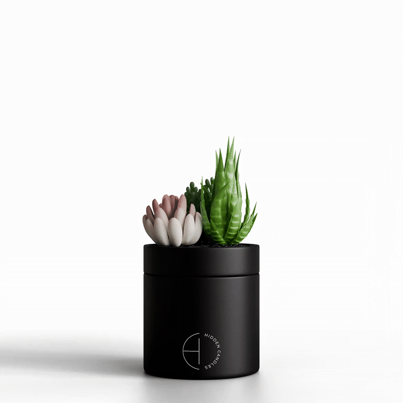 The Hidden Candle – Hidden Candles