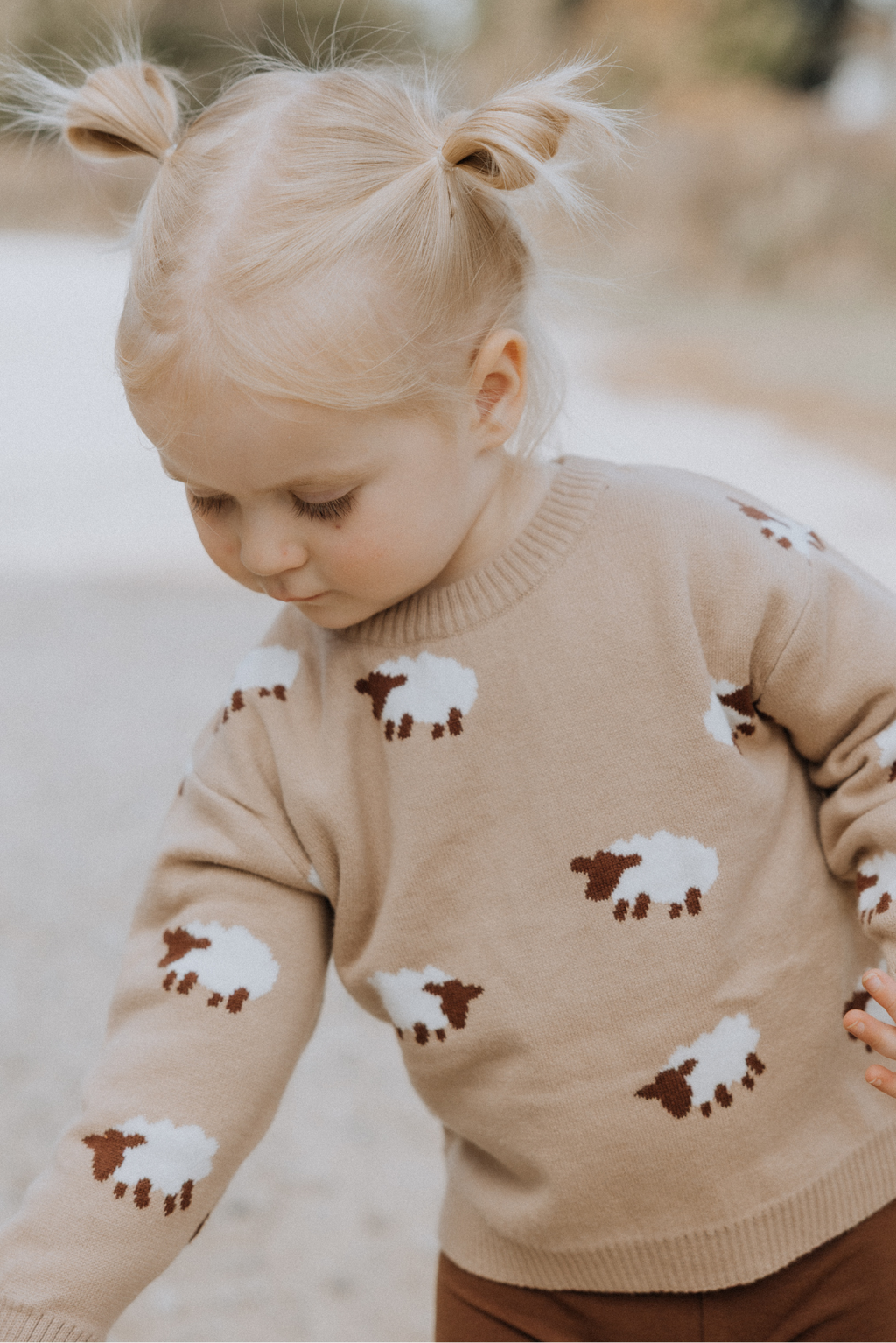 Baa Baa Sheep Jacquard Sweater