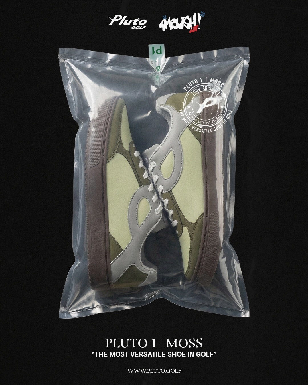 PLUTO 1 | MOSS