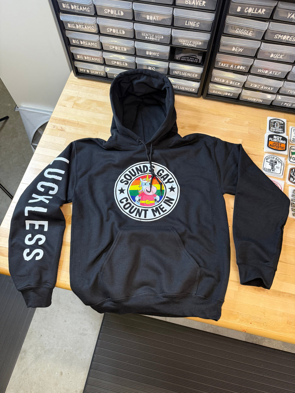 Luckless Outfitters Sounds Gay Count Me In Hoodie — back view