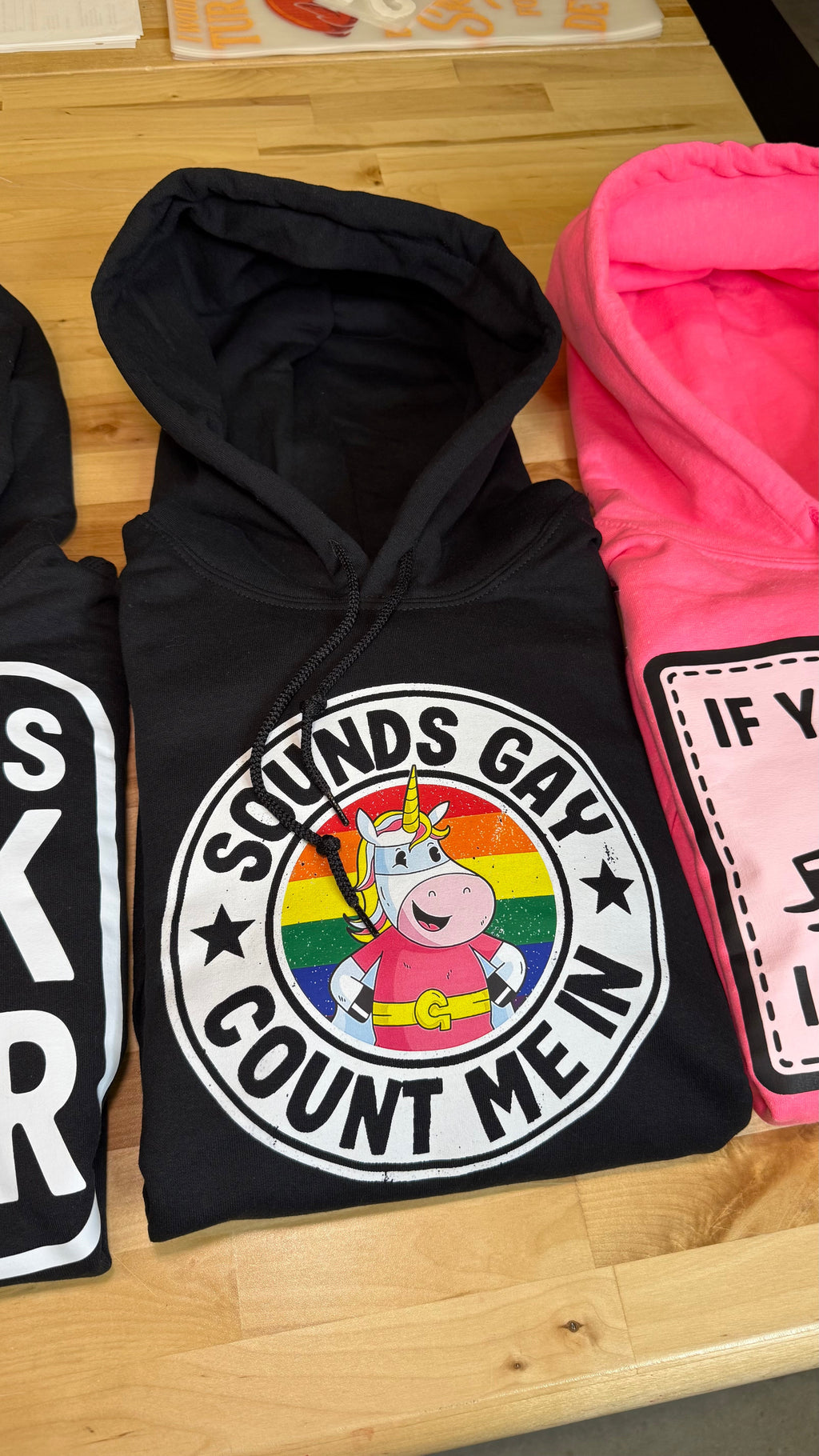 Luckless Outfitters Sounds Gay Count Me In Hoodie — lifestyle context