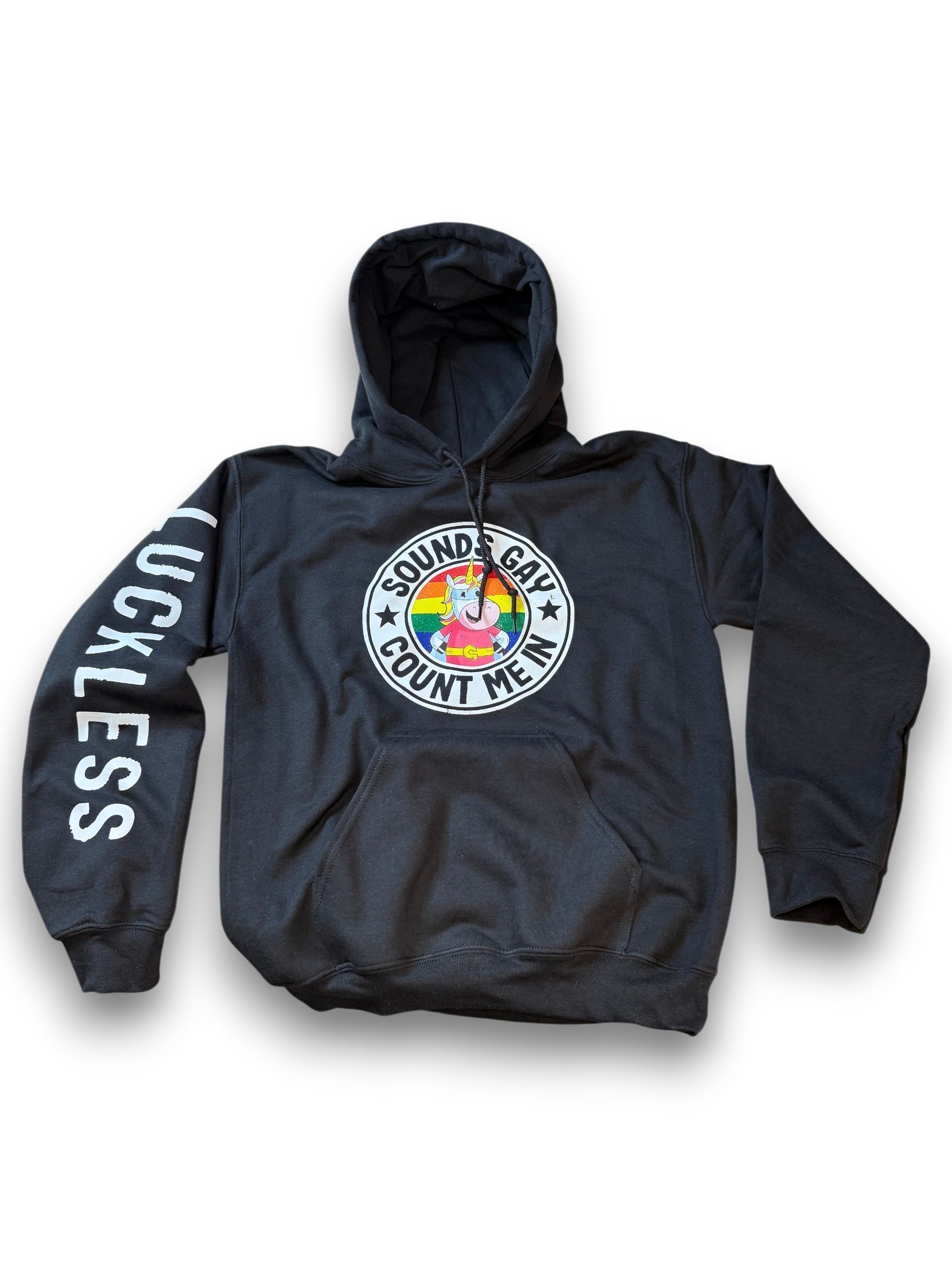 Luckless Outfitters Sounds Gay Count Me In Hoodie — main product shot