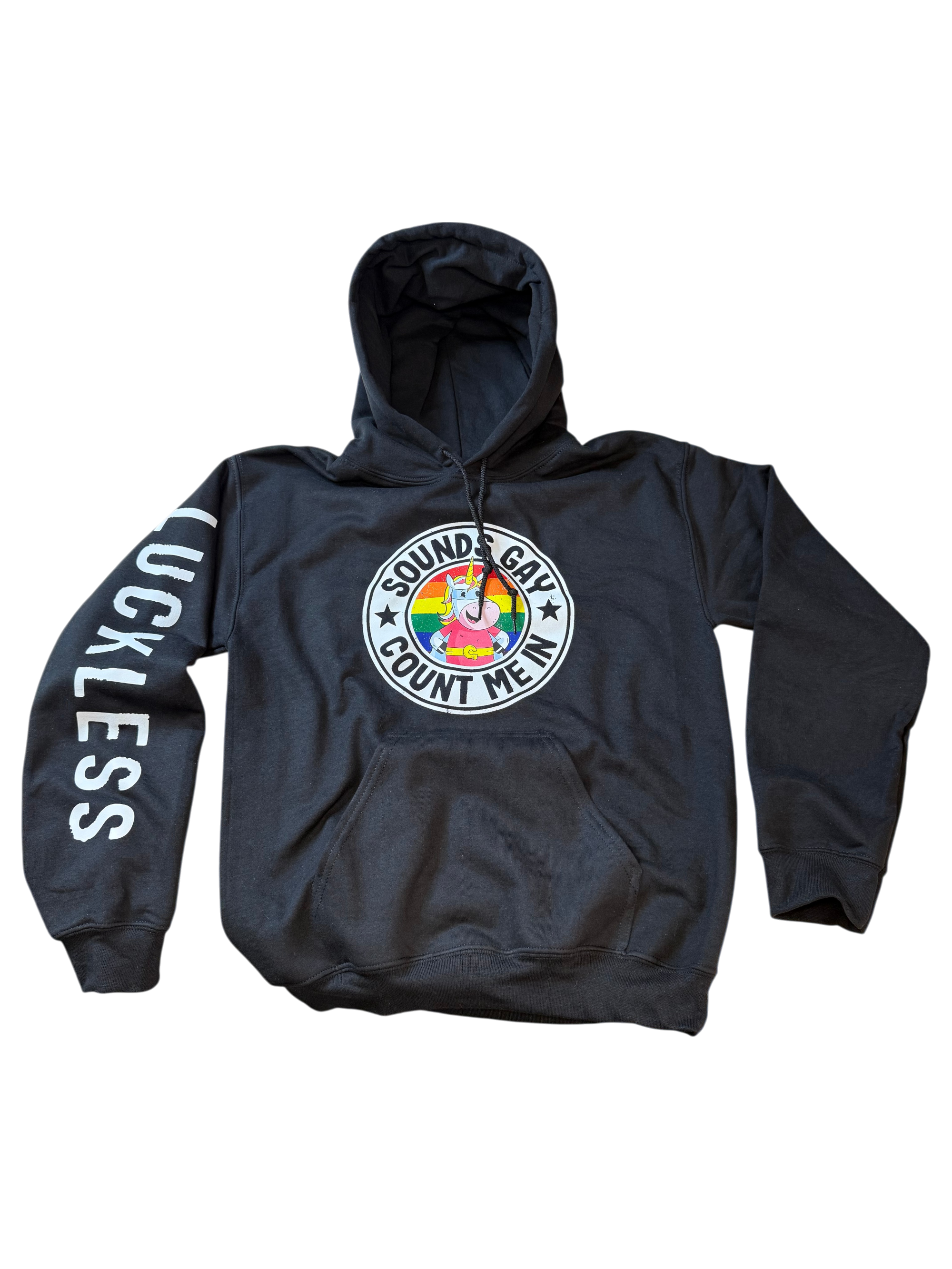 Luckless Outfitters Sounds Gay Count Me In Hoodie — alternative angle