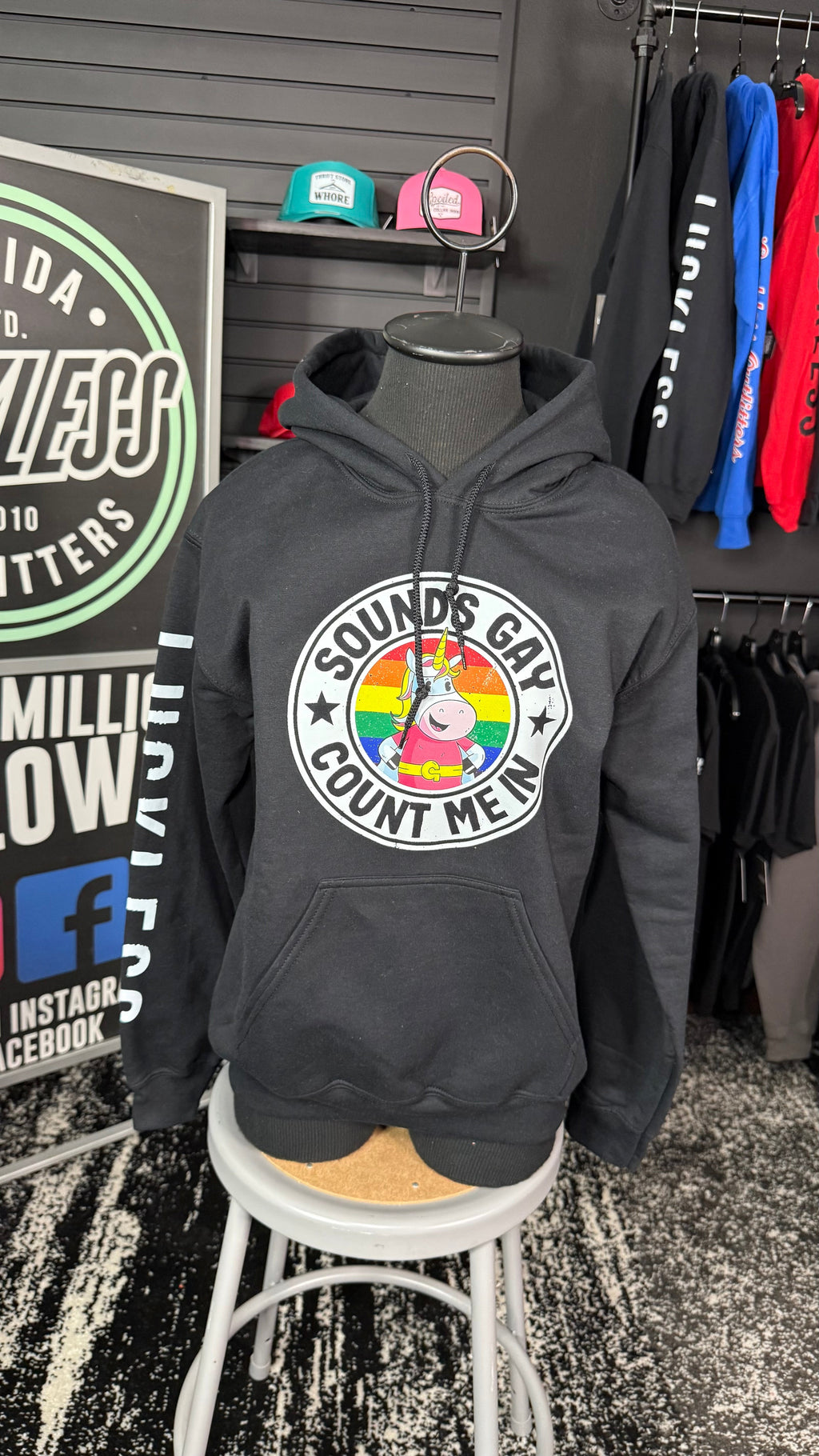 Luckless Outfitters Sounds Gay Count Me In Hoodie — detail close-up