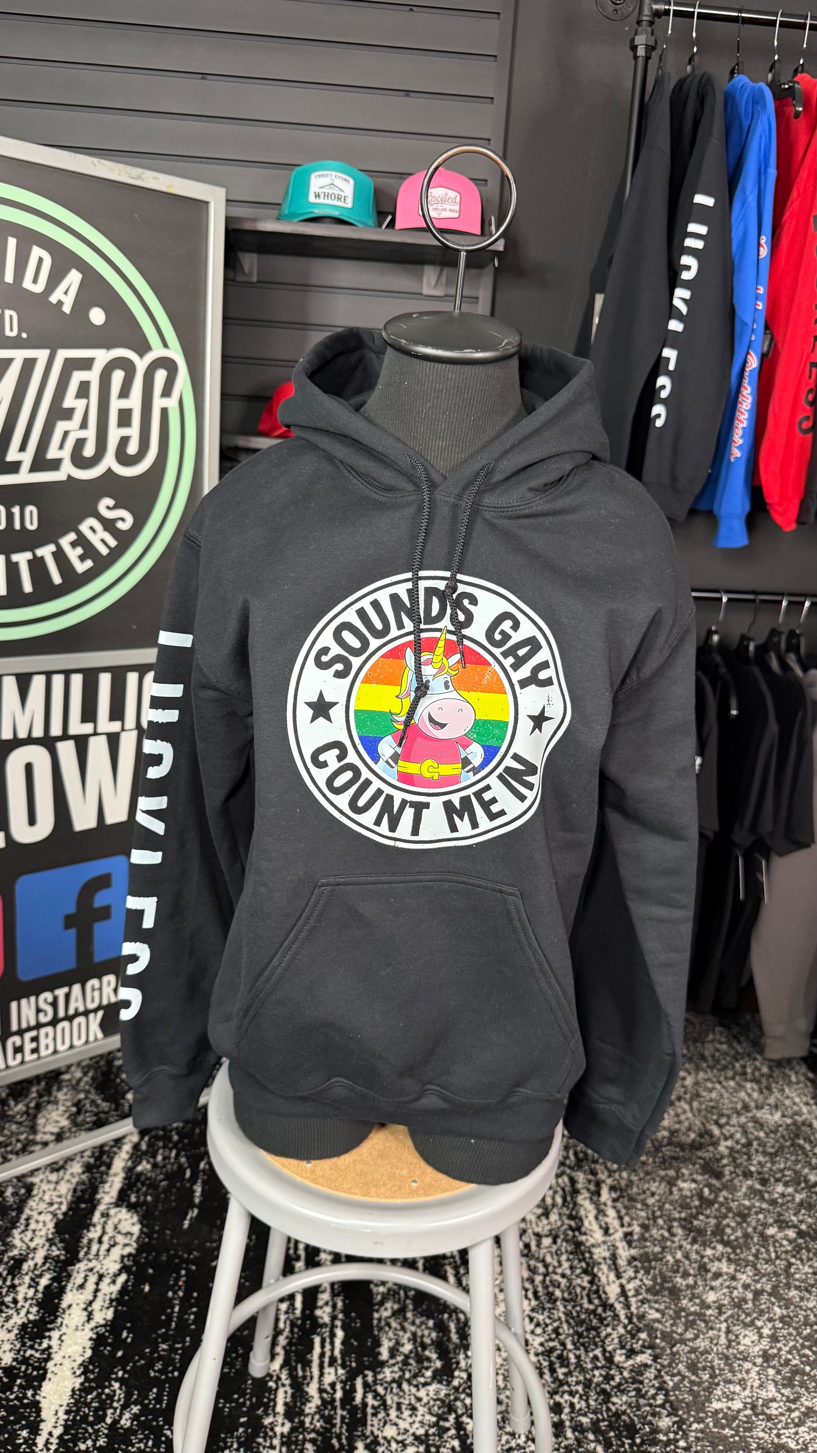 Luckless Outfitters Sounds Gay Count Me In Hoodie — detail close-up