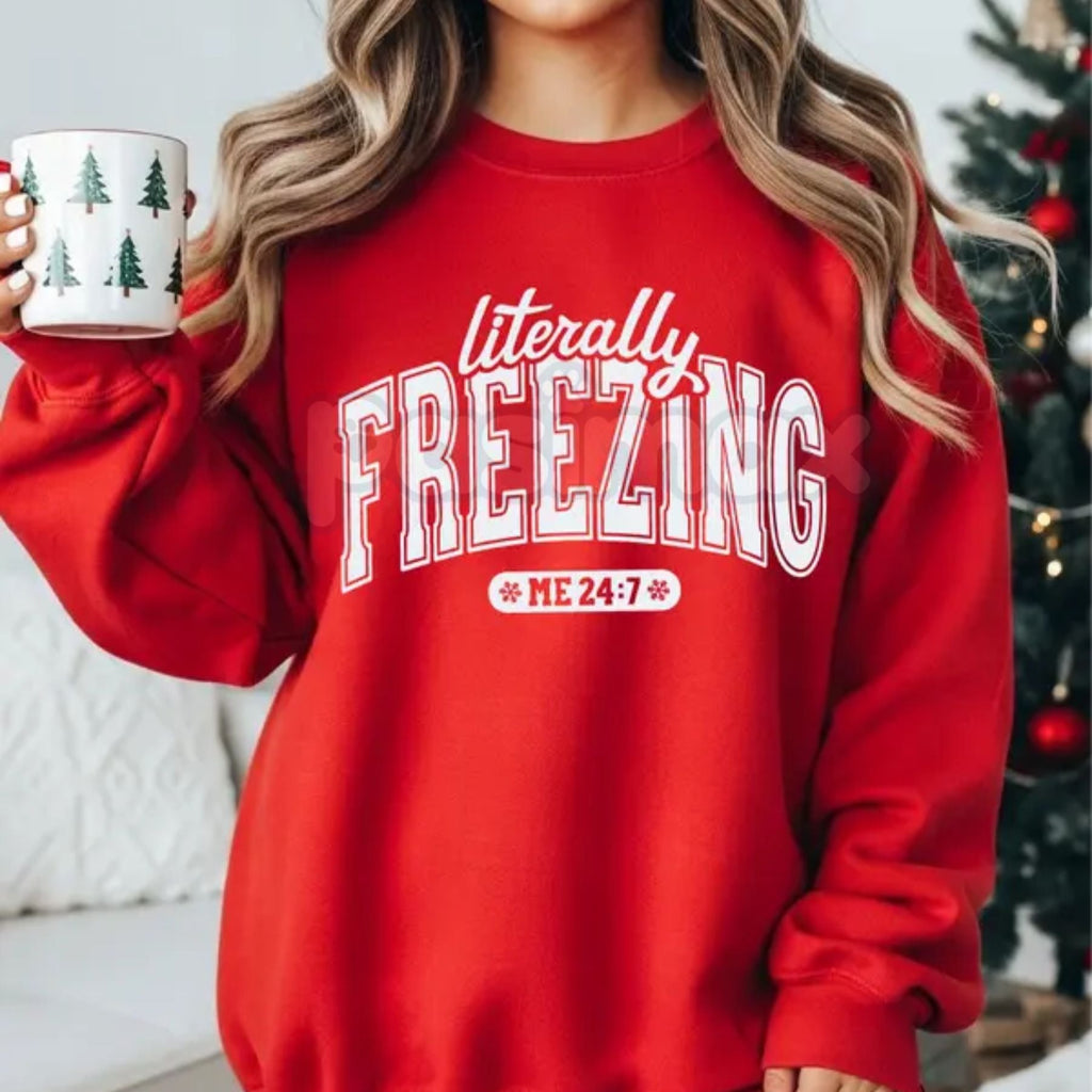 Pasimax The Cold Truth: "Literally Freezing" Unisex Garment-Dyed Sweatshirt – Winter Cozy Wear — main product shot