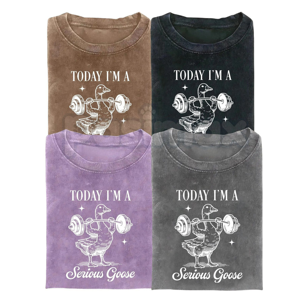 Today I'm a Serious Goose Funny T-Shirt – Men’s Vintage Washed Graphic Tee, Lightweight Sarcastic Animal Streetwear Top