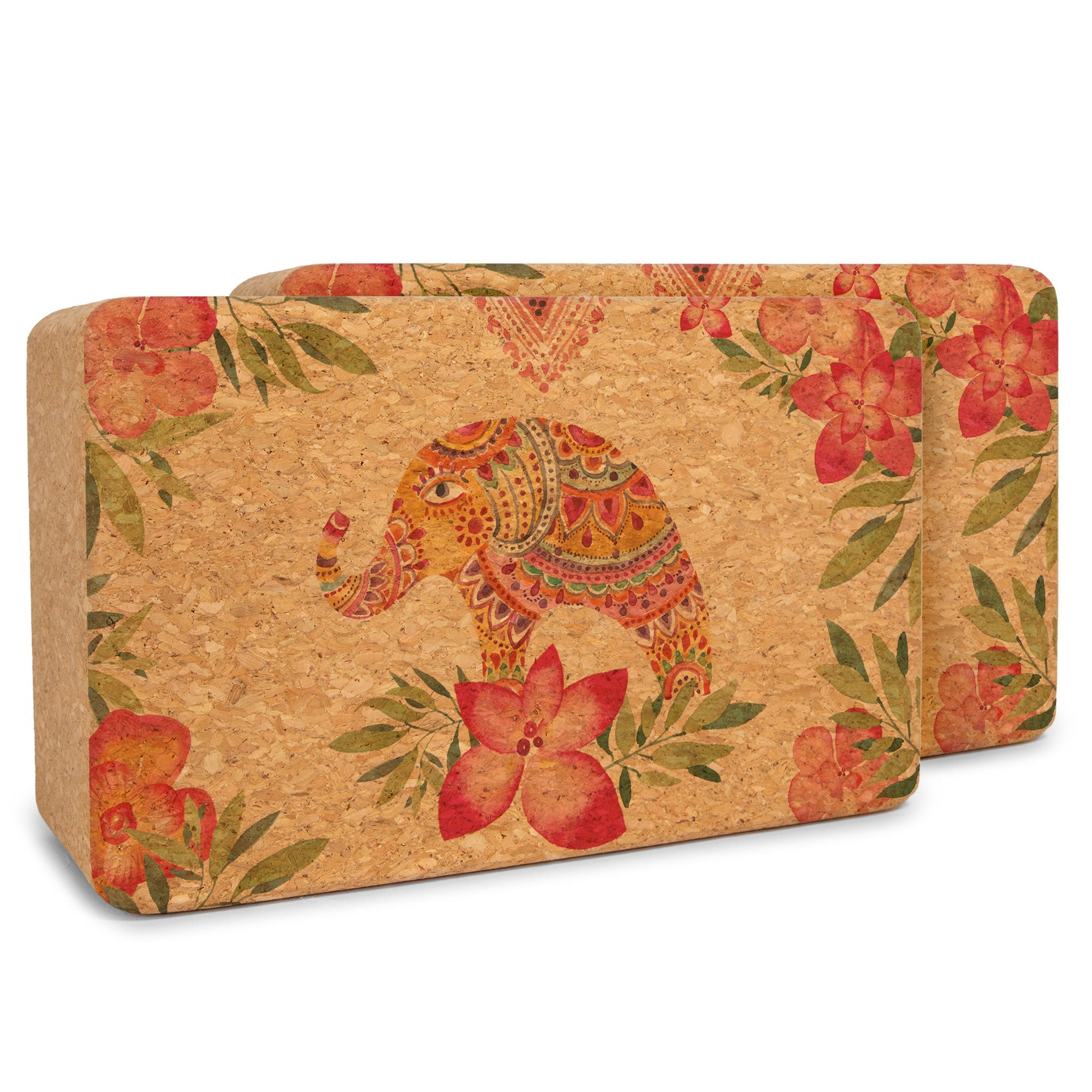 Artist Cork Yoga Block Set – Yoloha Yoga, view 7