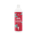 Kallos Cosmetics Hair Pro-Tox Cannabis Shampoo 1000ml - Nourishing, Natural Hair Care for Healthy Locks