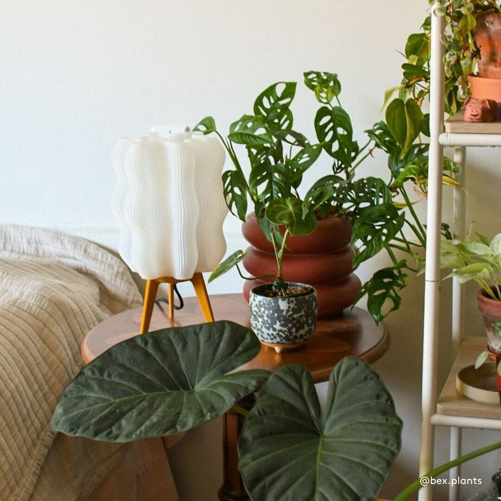 Wavy Lamp – Wooj Design, view 13