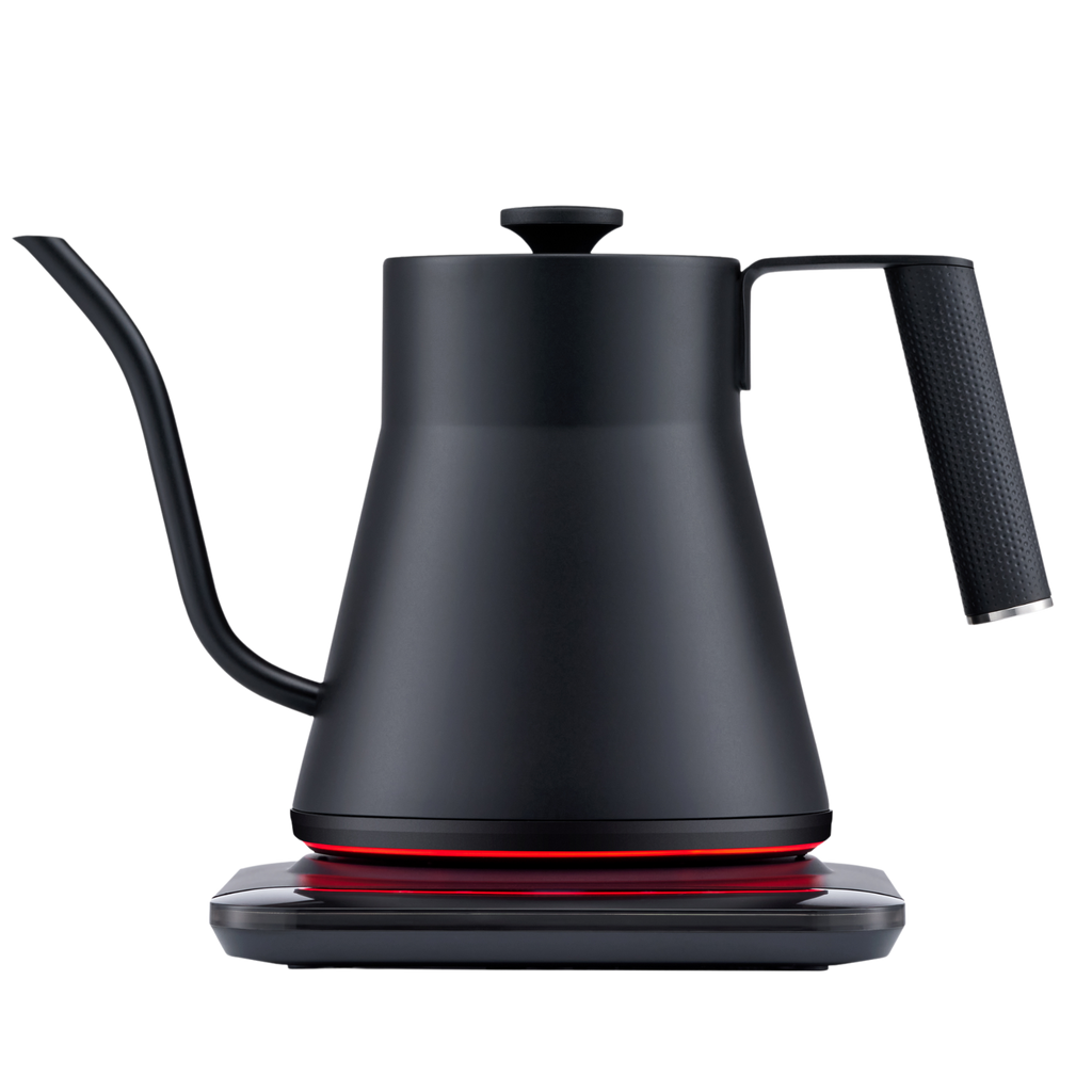 Baristan Gooseneck Kettle – SAKI