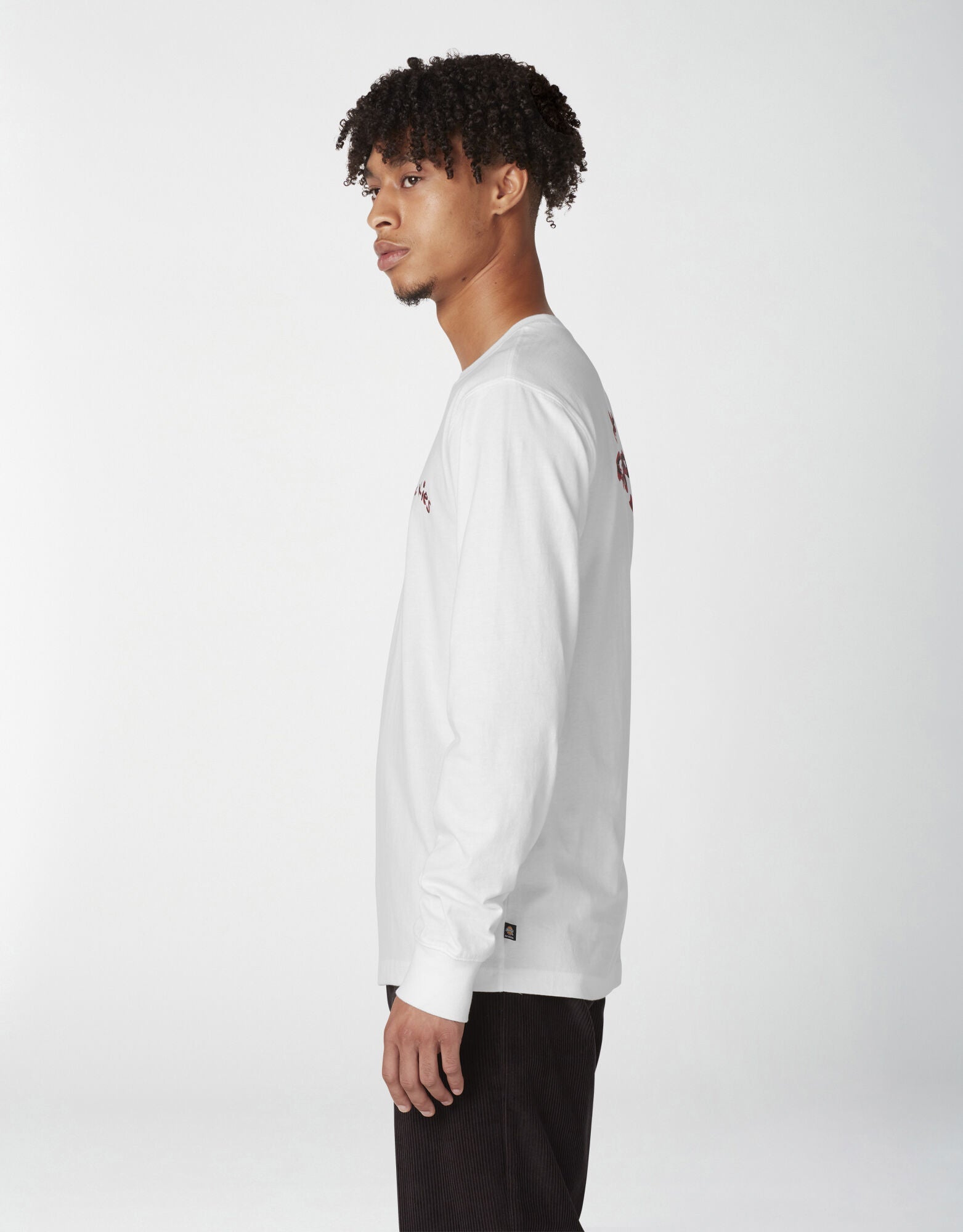 Dickies Villani Drunkula Long Sleeve T-Shirt - White