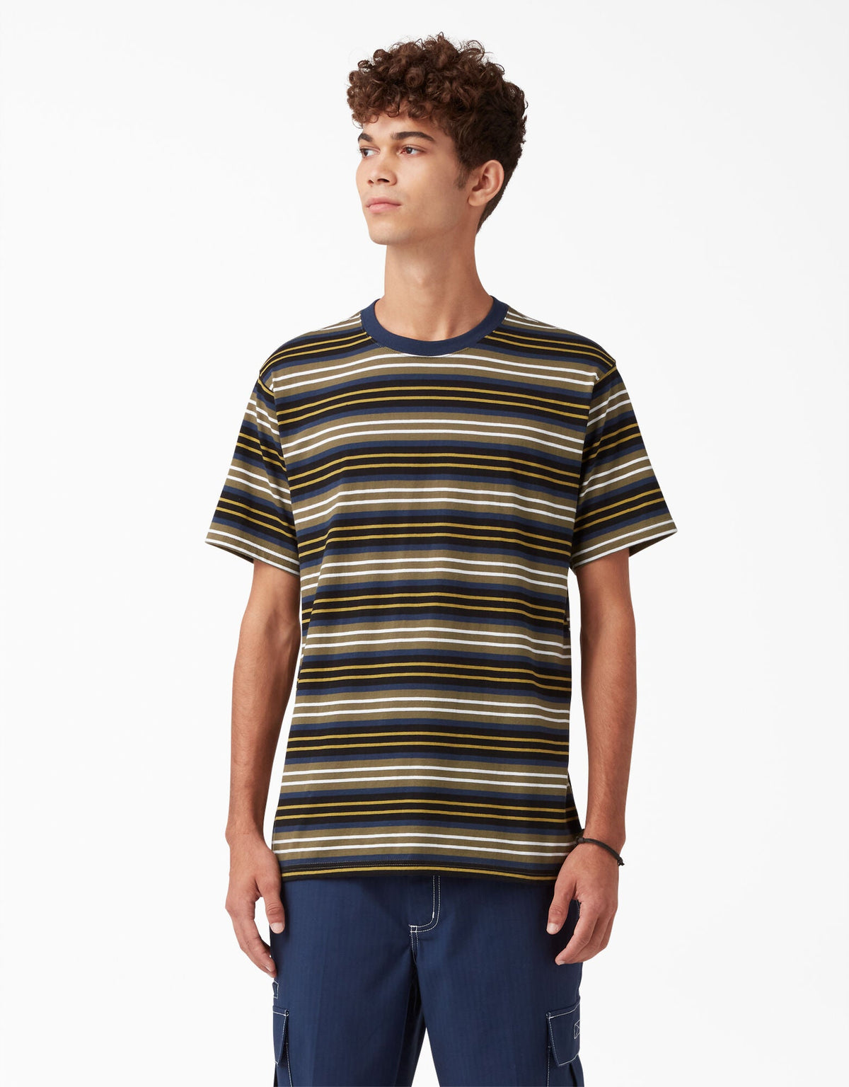 Dickies Skateboarding Stripe Graphic T-Shirt - Black/Moss Stripe by Skates USA