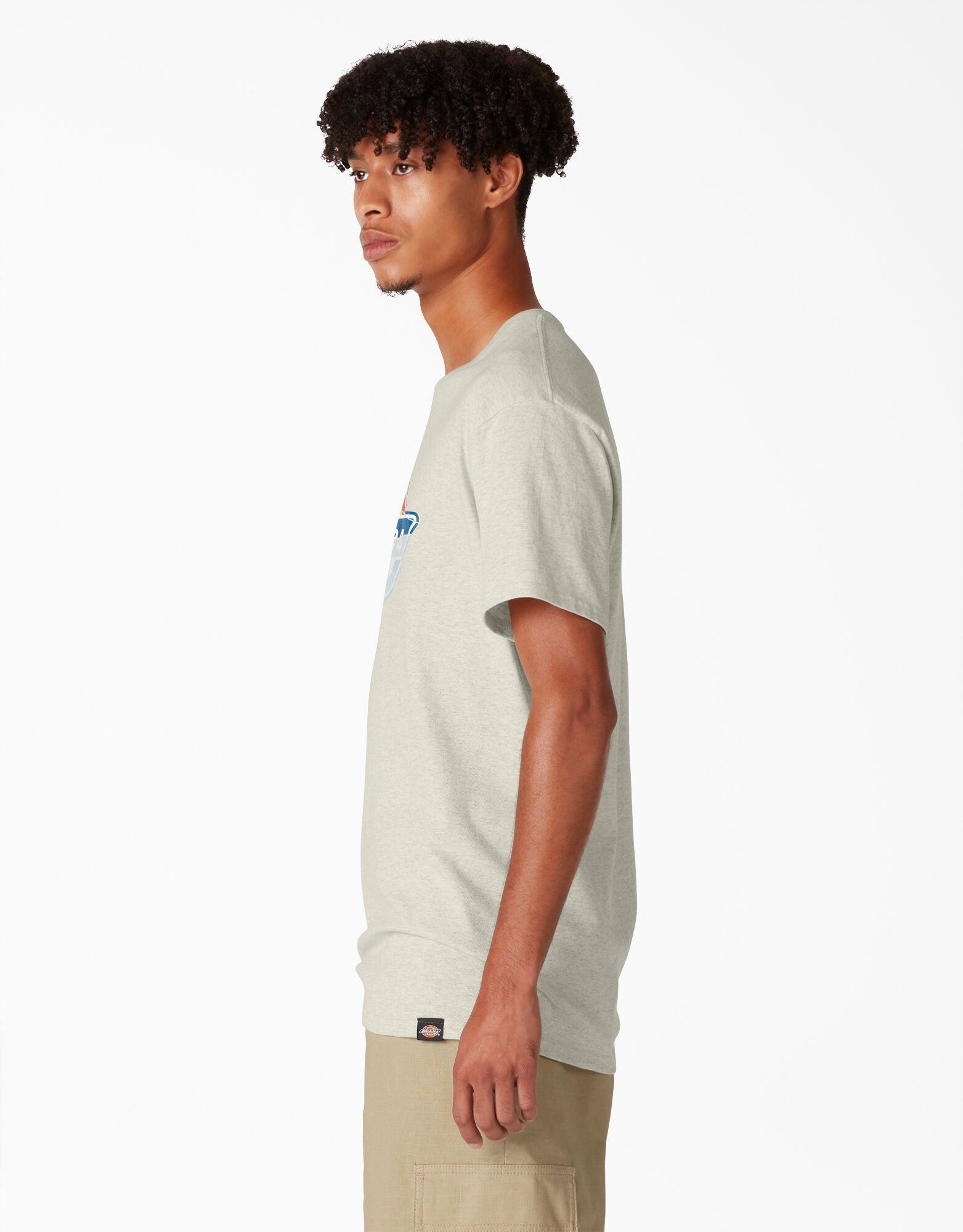 Dickies Skateboarding Break Out Graphic T-Shirt - Oatmeal Heather