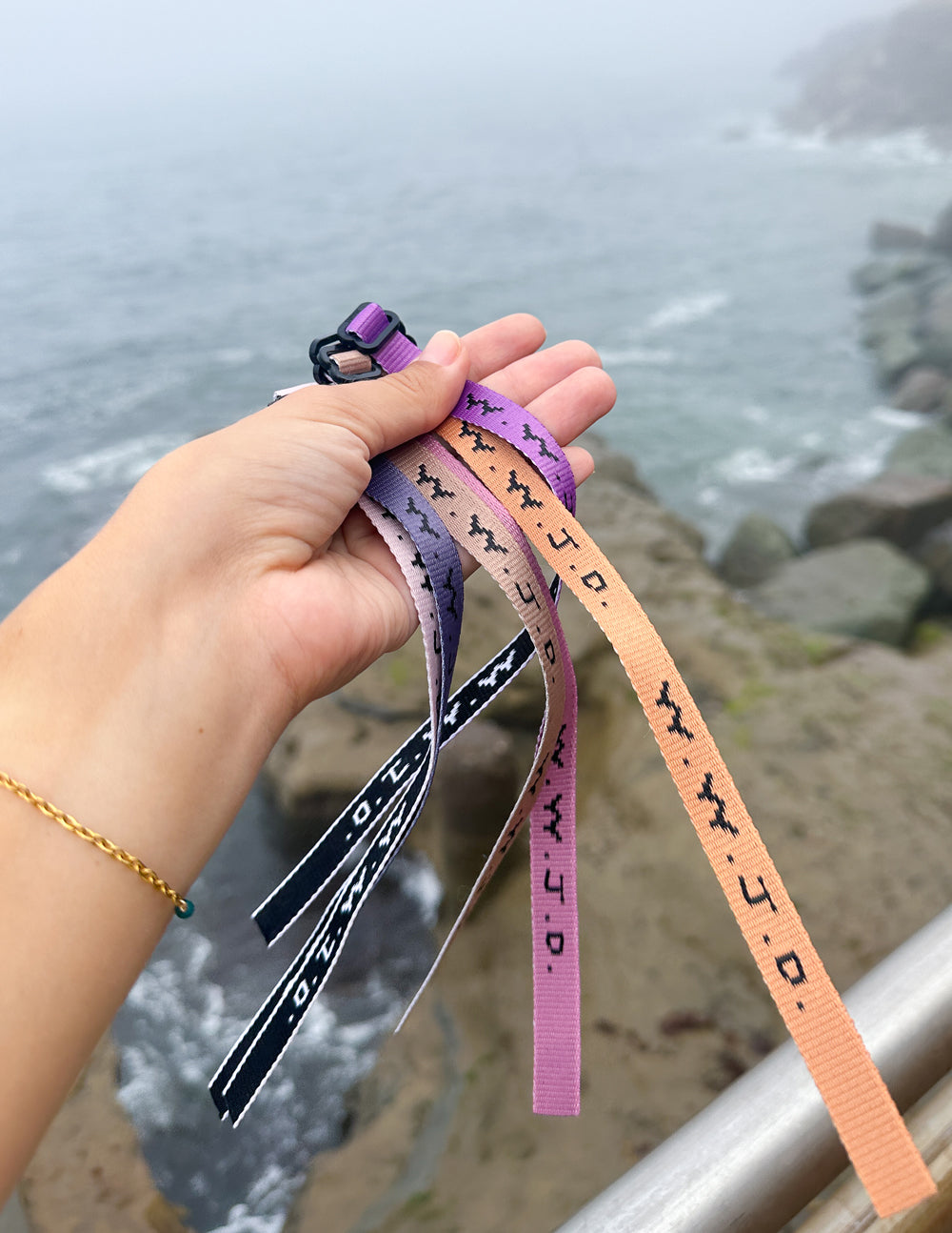Elevated Faith WWJD Paradise Bracelet Pack — alternative angle