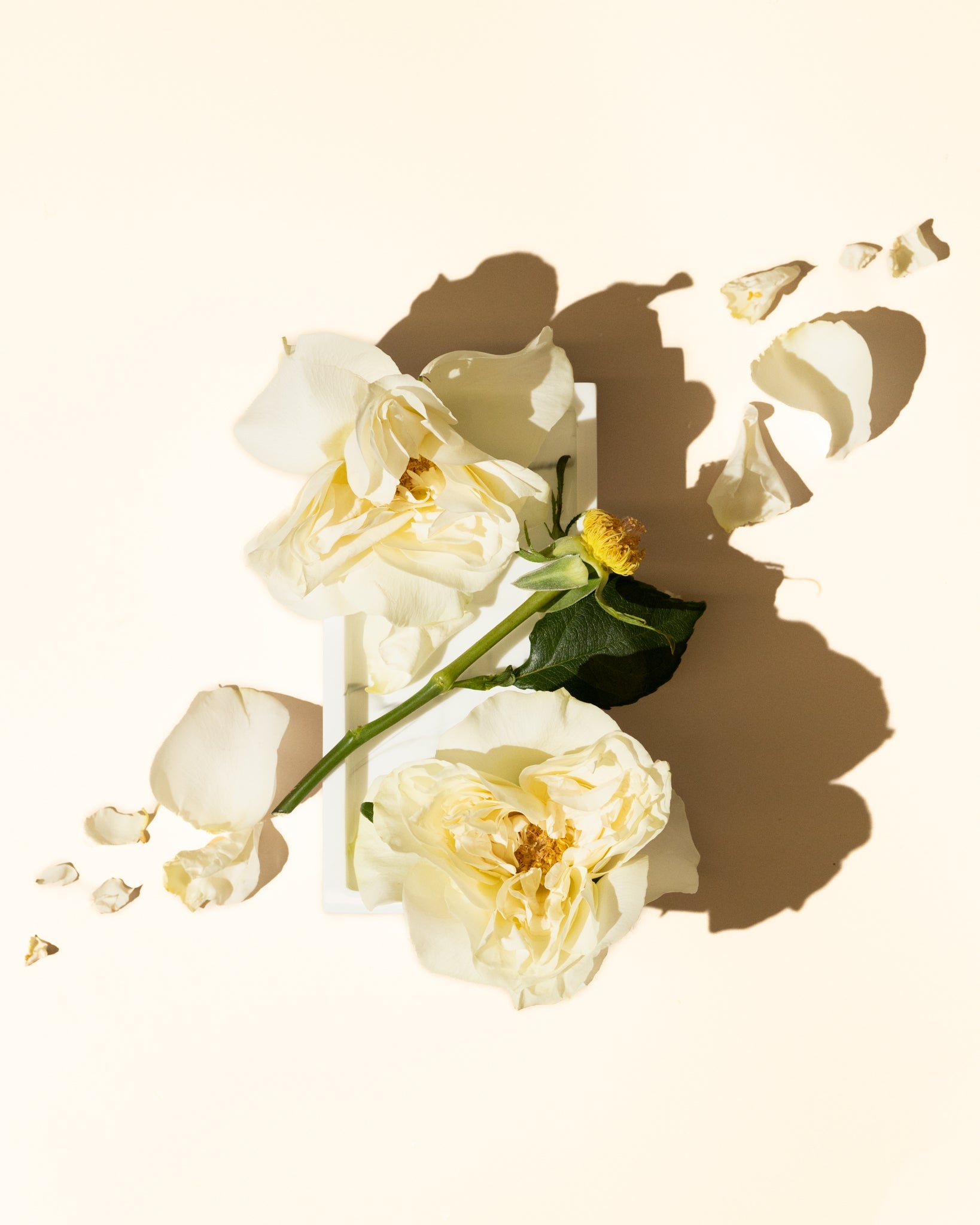 white gardenia fragrance oil accord – makesy®