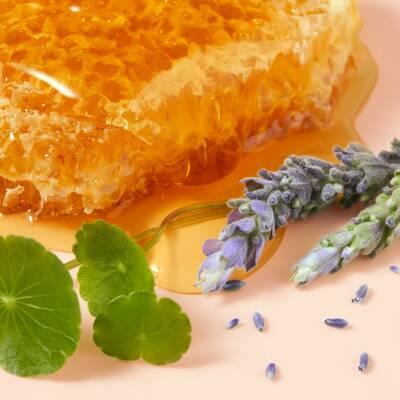 Nuxe Reve De Miel: Intensive Honey Hand Cream for Dry, Damaged Skin | Repairing & Moisturizing with Centella Asiatica