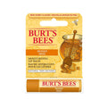 Burt's Bees Honey Flavored Lip Balm - Natural Moisturizing Lip Care for Dry Lips - 4.25g