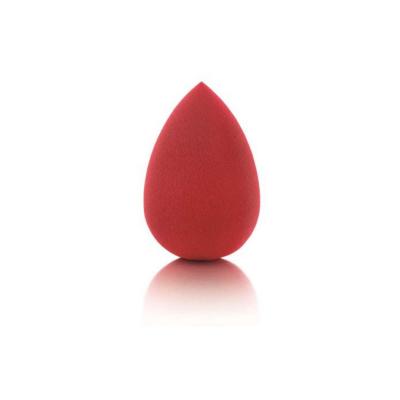 Pastel Makeup Sponge - Profashion | Versatile Applicator