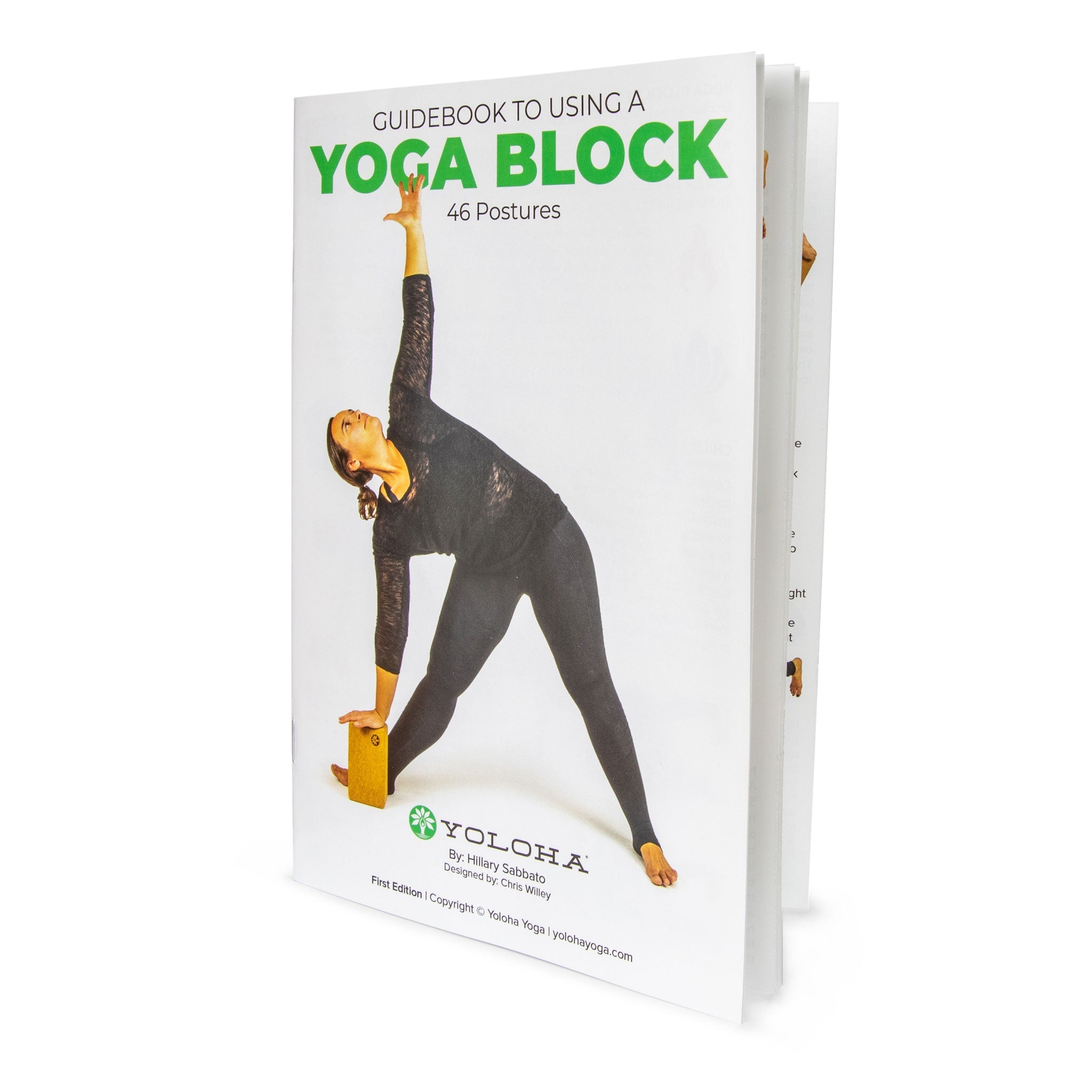 Artist Cork Yoga Block Set – Yoloha Yoga, view 8