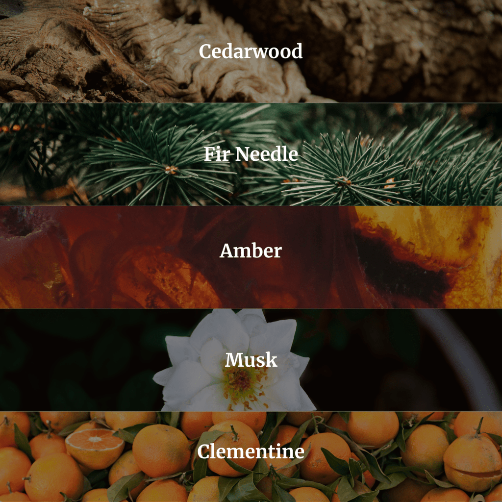 Secluded Cabin Candle 10.6 oz – Bergamot, Cedarwood & Smoked Amber – Hidden Candles, view 2