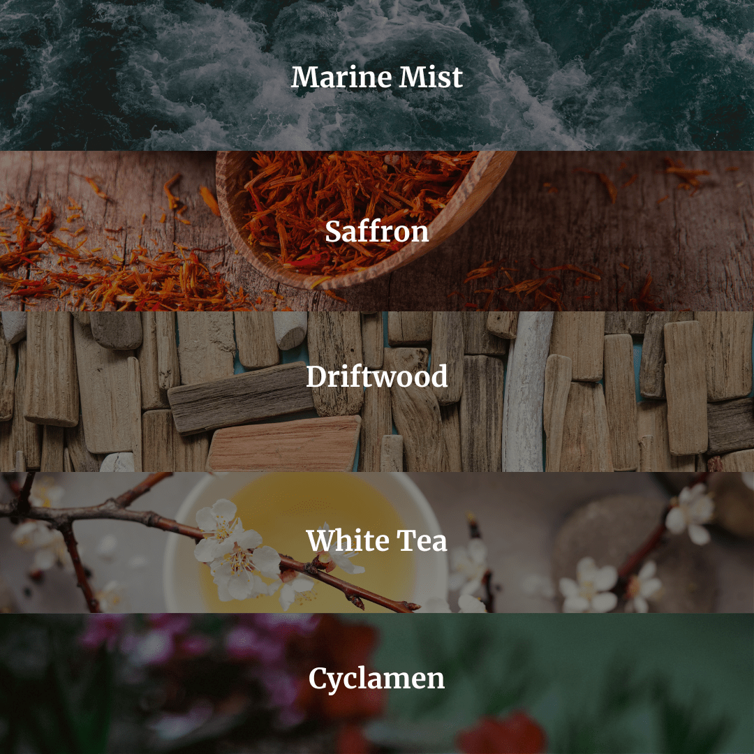 Beach Bungalow Candle 10.6 oz – Marine Air, Driftwood & White Tea – Hidden Candles, view 2