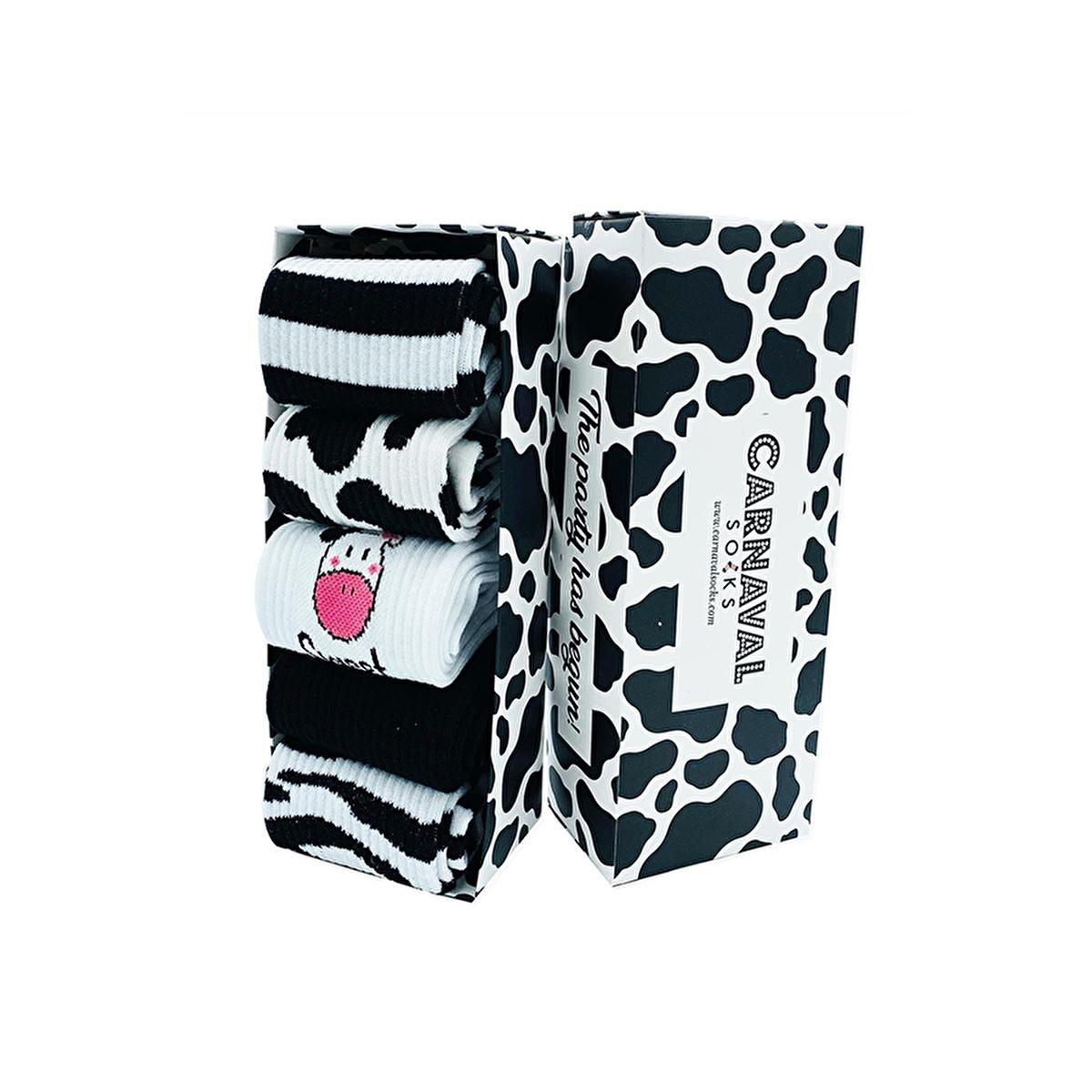 Carnaval Socks 5-Pack Comfortable Cotton Socks for Daily Wear - Milk Cemberler Corap Kutusu