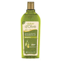 Dalan Olive Oil Shower Gel - Moisturizing & Nourishing Body Wash for Dry Skin - 13.53 fl oz