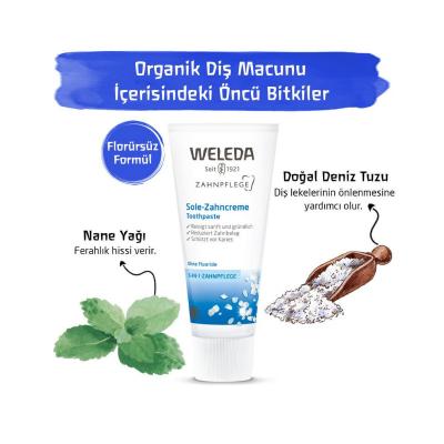 Weleda Natural Toothpaste with Sea Salt - 2.54 fl oz, Fluoride-Free, Organic Oral Care